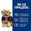 Сухий корм Hill's Prescription Diet l/d для собак для підтримання функції печінки 1.5 кг - мініатюра 7