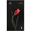 Вибратор-кролик SYL Tulip двойное удовольствие с эффектом подогрева Blue - миниатюра 4