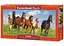 Пазл Castorland puzzle Коні, 600 ел. (панорама) (B-060351) - мініатюра 1