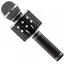 Караоке-мікрофон Wster бездротовий WS 858 Black (au083) - мініатюра 1