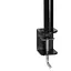 Настольный крепеж для монитора Arctic Z1 Basic 13-43" Black (AEMNT00039A) [134135] - миниатюра 6