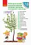 Універсальний комплексний словник-довідник молодшого школяра. 1-4 класи - мініатюра 1