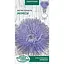 Семена Астра игольчатая Насіння України Импрессия 0.25 г (768100) - миниатюра 1