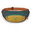 Поясная сумка Osprey Daylite Waist S21 Grey/Yellow (1054-009.3745) - миниатюра 1