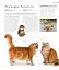 The Cat Encyclopedia - миниатюра 21