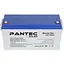 Акумулятор Pantec 150-12 GEL (12V 150Ah) - мініатюра 1