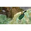 Игра Tomb Raider I-III Remastered для PS5 (EN + RU sub) (5056635609588) [156277] - миниатюра 3
