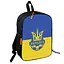 Рюкзак школьный детский 36х27см с футбольным мячом, футбол Украина для мальчика (00746) - миниатюра 1