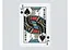 Карти гральні United States Playing Card Company Handshields Jeans (ВР_КДЯХД) - мініатюра 4