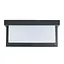 Фасадна Підсвітка Brille AL-47B/1 E27 IP54 BK - мініатюра 2