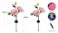 Светильники Garden Peony pink Light на солнечной батарее садовые 2 шт - миниатюра 2