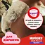 Уценка. Набор подгузники-трусики для девочек Huggies Pants Little Movers 3 (6-11 кг) 116 шт. - миниатюра 8