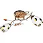 Люстра стельова Brille класична E27 60W G (LK-383C/2) - мініатюра 1