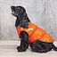 Жилет Pet Fashion Spring для собак, розмір XS2, помаранчевий - мініатюра 6