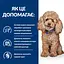 Сухой корм для собак малых пород Hill’s Prescription Diet Gastrointestinal Biome Mini при заболеваниях желудка - миниатюра 4