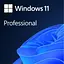Програмне забезпечення Microsoft Windows 11 Professional 64Bit Eng Intl 1ПК DSP OEI DVD (FQC-10528) - мініатюра 1