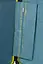 Чемодан American Tourister AEROSTEP YELLOW 77x50x29(32) 77 см MD8*06003 - миниатюра 13