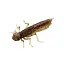 Силикон FishUP Dragonfly 1.2" #045 Green Pumpkin/Red & Black (10 шт/уп) - миниатюра 1