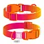 Ошейник для собак из нейлона Waudog Nylon Recycled с QR-паспортом градиент пластиковый фастекс S Ш 15 мм Д 25-35 см - миниатюра 1