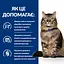Сухий корм Hill's Prescription Diet Gastrointestinal Biome для котів при захворюваннях ШКТ з куркою 3 кг - мініатюра 5