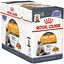 Влажный корм для кошек с чувствительной кожей и проблемной шерстью Royal Canin Intense Beauty кусочки в желе 1.02 кг (12 шт. х 85 г) - миниатюра 1