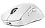 Миша Logitech G Pro X Superlight 2 DEX White (910-007365) - мініатюра 1