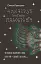 Чимчикун. Історії Країни На Добраніч - мініатюра 1