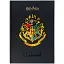 Щоденник шкільний Kite Harry Potter тверда обкладинка (HP25-262-2) - мініатюра 1