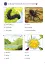 Ladybird Readers 3 Minibeasts Activity Book - миниатюра 3