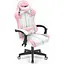 Компьютерное кресло Hell's Chair HC-1004 Rainbow Pink - миниатюра 3