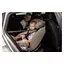 Автокрісло FreeON Pollo, i-Size 40-150 см, grey [CD] - мініатюра 5