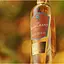 Віскі Glen Grant Arboralis Single Malt Scotch Whisky 40% 0.7 л - мініатюра 4