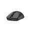 Компьютерная мышь Bloody беспроводная R72 Pro Duo Black teh0020410 - миниатюра 6