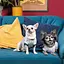 Футболка Pet Fashion Flora для собак бавовна білий трикотаж з квітковим принтом L - мініатюра 4
