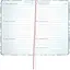 Еженедельник Axent 2026 Pocket 90 x 150 мм Gentle Blossom (8525-26-3-A) - миниатюра 3