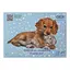 Альбом для малювання Pets KIDS Line А4, 12 аркушів, 120 г/м², на скобі, блакитний - мініатюра 1