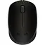 Мышь Logitech Wireless Mouse M171 Black (6270804) - миниатюра 1