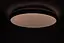 Потолочный светильник RING матовый 30W 395*60мм 4000К черный - миниатюра 5