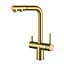 Смеситель для кухни с выдвижным изливом и подключением к фильтру золотой Nett FWG-33 Золотой - миниатюра 2