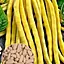 Фасоль "Спаржевая желтая" ТМ "Весна" 15г (13368) - миниатюра 1
