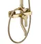 Душова система Rea Argus brushed gold з виливом REA-P7841, Золотий - мініатюра 3