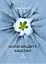 Коли зацвіте каштан - Ярко Любич - миниатюра 1