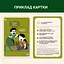 Карточная игра Memo Games 72 препятствия, мешающие думать 0040MG 72 карточки - миниатюра 2