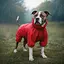 Дождевик для собак Collar Waudog Clothes, водонепроницаемый, L50, В 70-74 см, С 47-50 см, красный - миниатюра 4