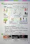 Я досліджую світ. Підручник для 2 класу. Частина 1 - мініатюра 9