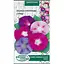 Насіння Іпомея Насіння України Пурпурова (суміш) 1 г (784400) - мініатюра 1