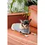 Шлея-жилет Pet Fashion Rob для собак розмір XS2 - мініатюра 7