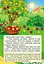 Книга Червона шапочка. Казки з наліпками. 29 наліпок (Пегас) - мініатюра 3
