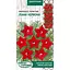 Насіння Квамокліт Перистий  Насіння України Ліана Червона 0.25 г (786600) - мініатюра 1