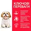 Сухий корм Hill’s SP Mature Adult 7+ Small&Mini для зрілих малих і міні собак від 7 років з куркою 0.3 кг - мініатюра 3